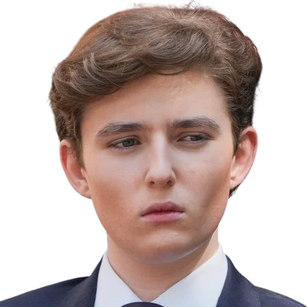 A picture of Barron Trump.