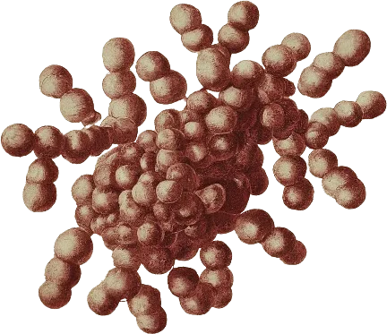 A drawing of an enzyme.